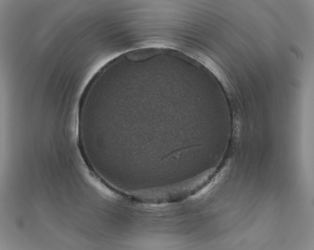 X0000110711132200906121349