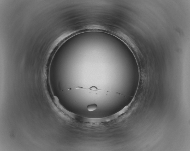 X0000110711133200906121349