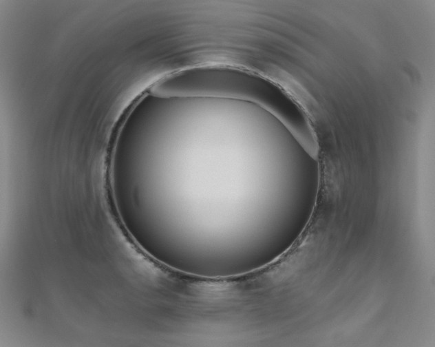 X0000110711134200906121349