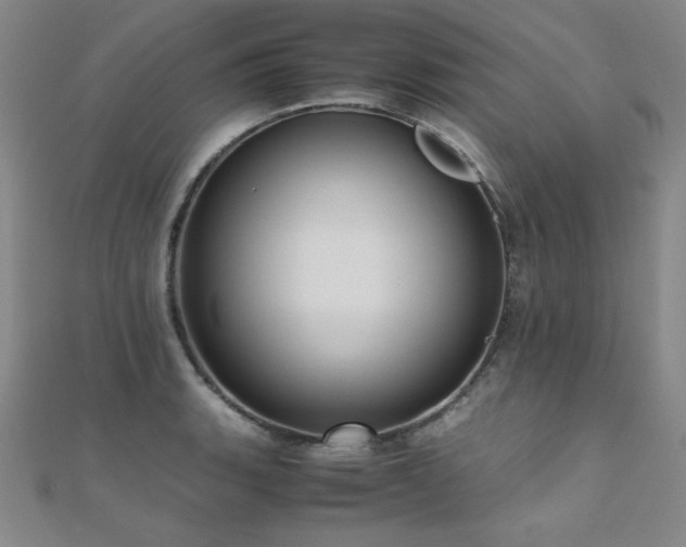 X0000110711135200906121349