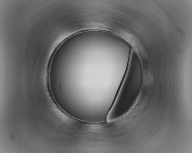 X0000110711136200906121349