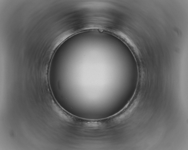 X0000110711137200906121349