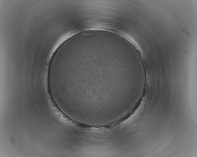 X0000110711138200906121349