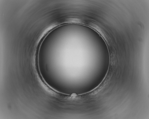 X0000110711139200906121349