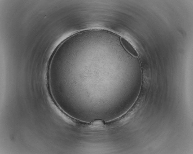 X0000110711142200906121349