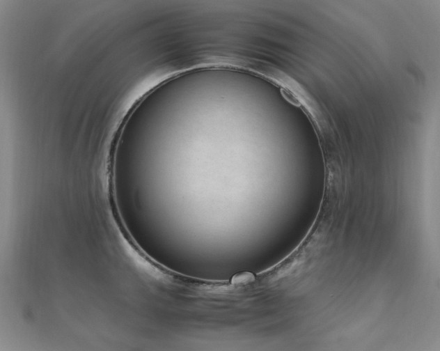 X0000110711143200906121349