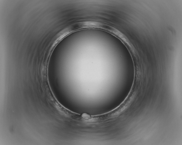 X0000110711145200906121349