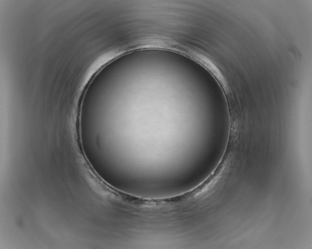 X0000110711146200906121349