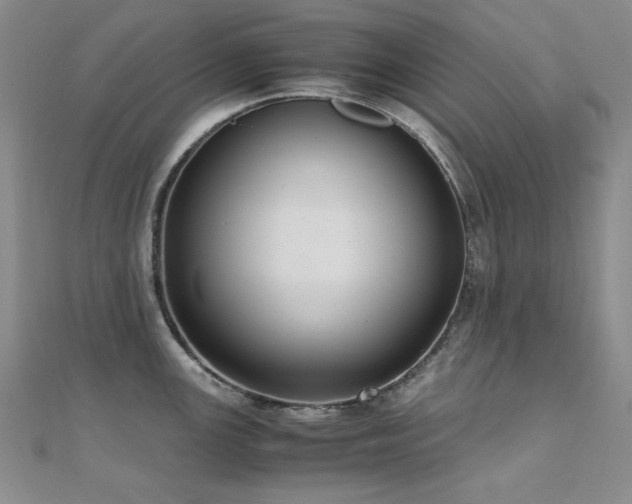 X0000110711147200906121349