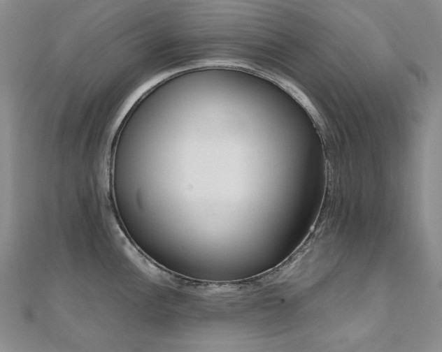 X0000110711148200906121349