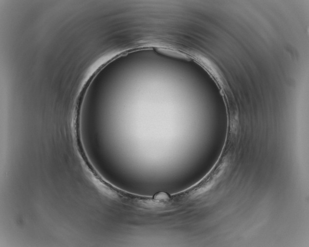 X0000110711149200906121349