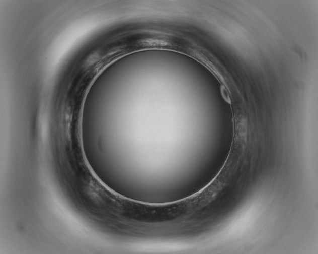 X0000110711151200906121349