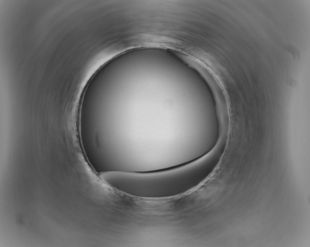 X0000110711152200906121349