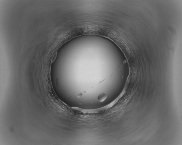 X0000110711153200906121348