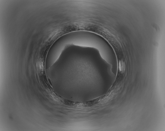 X0000110711155200906121348