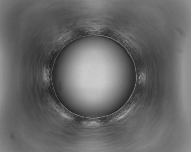 X0000110711156200906121348