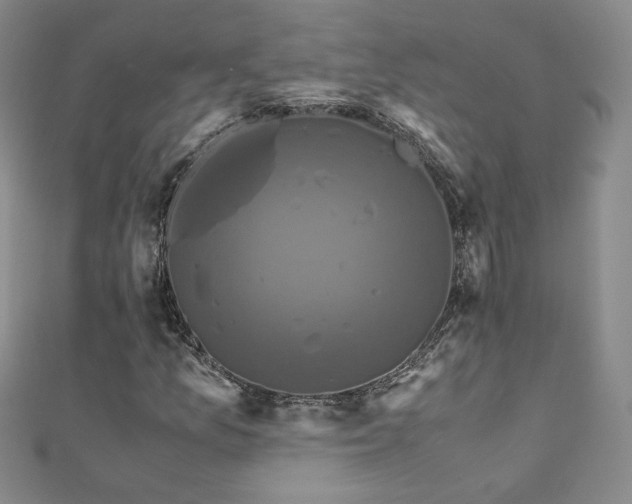 X0000110711157200906121348