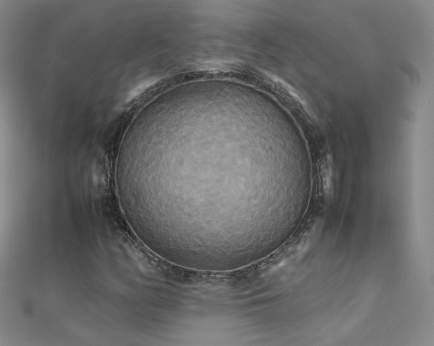 X0000110711158200906121348