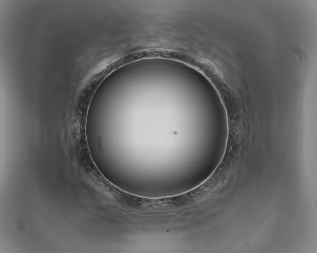 X0000110711159200906121348