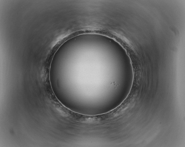 X0000110711160200906121348