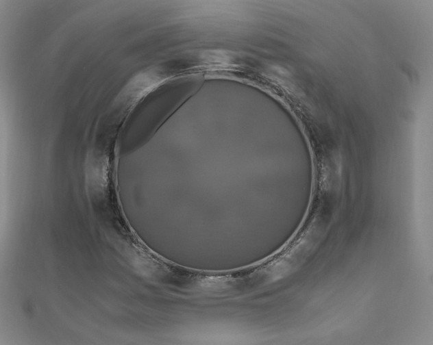 X0000110711161200906121348