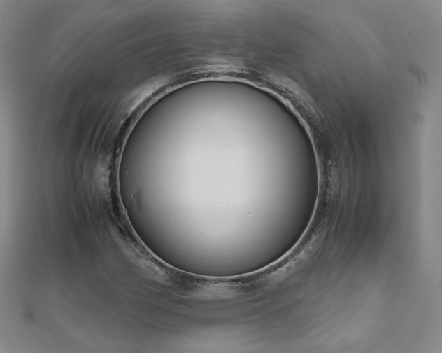X0000110711162200906121348