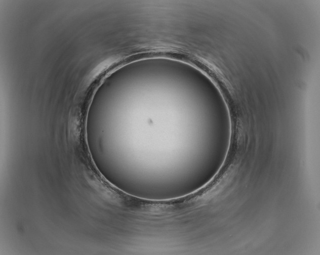 X0000110711163200906121348
