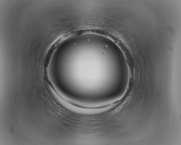 X0000110711165200906121348