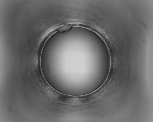 X0000110711167200906121348