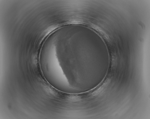 X0000110711170200906121348