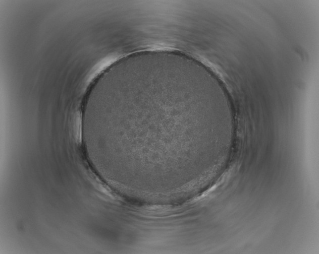 X0000110711171200906121348