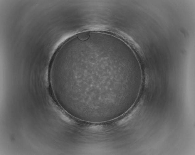 X0000110711174200906121348
