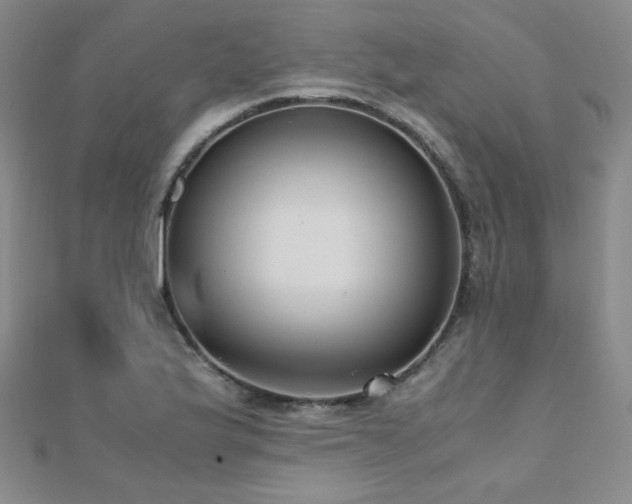 X0000110711175200906121348