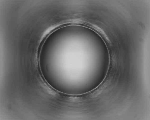 X0000110711176200906121348