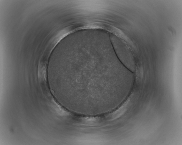 X0000110711177200906121348