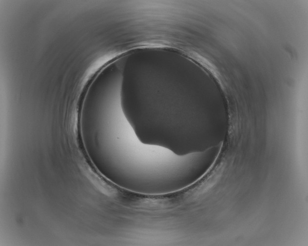 X0000110711179200906121348