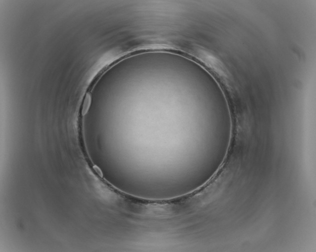 X0000110711181200906121348