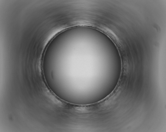 X0000110711182200906121348