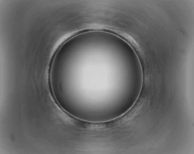 X0000110711183200906121348