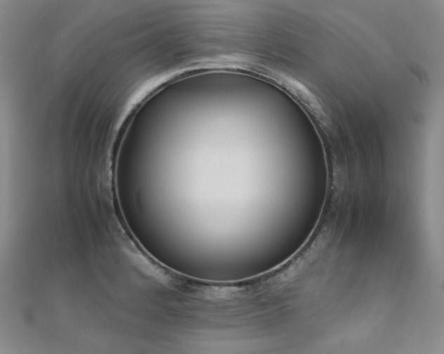 X0000110711184200906121348