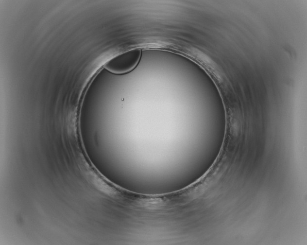 X0000110711186200906121348