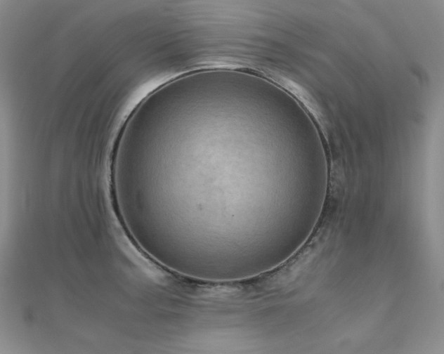 X0000110711187200906121348