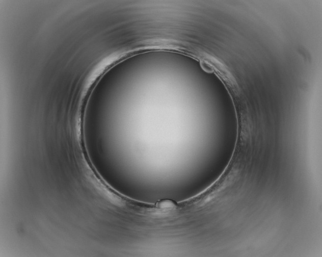 X0000110711188200906121348