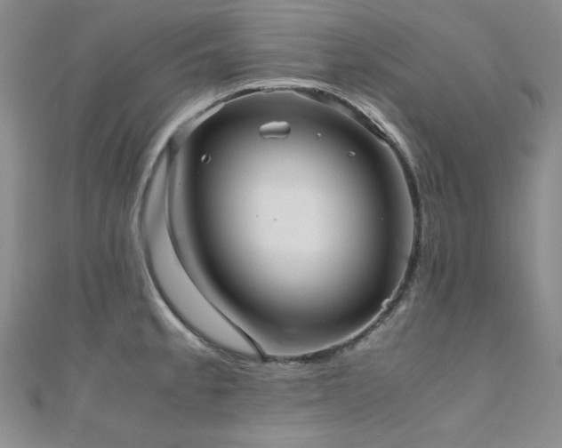 X0000110711189200906121348