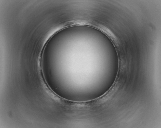X0000110711190200906121348