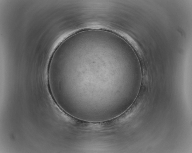 X0000110711191200906121348