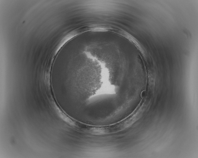 X0000110711194200906121348