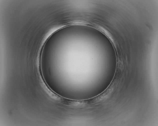 X0000110711195200906121348