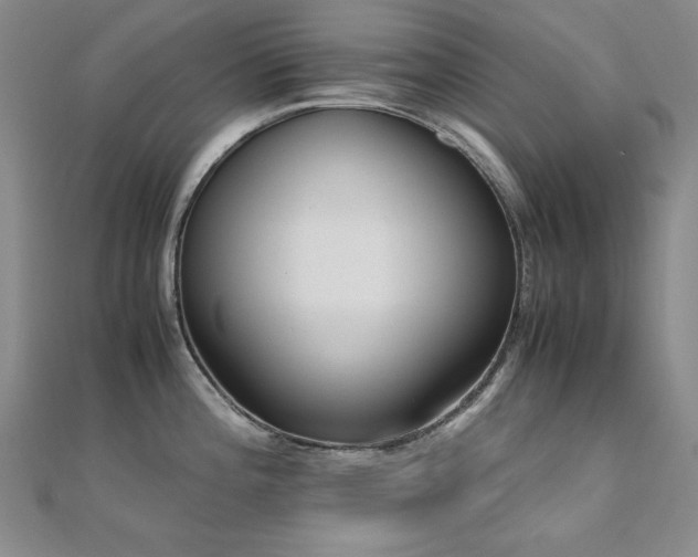 X0000110711196200906121348