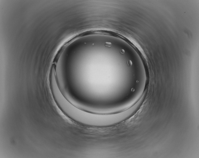 X0000110711197200906121348